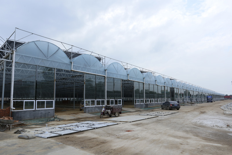 玻璃溫室大棚有哪幾種除濕方案呢？